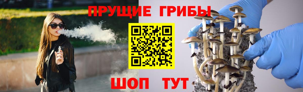 Псилоцибиновые грибы мицелий  что такое наркотик  Псилоцибиновые грибы Psilocybe  Краснодар  Вход с VPN 